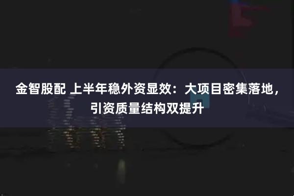 金智股配 上半年稳外资显效：大项目密集落地，引资质量结构双提升