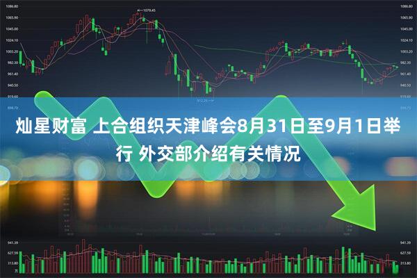 灿星财富 上合组织天津峰会8月31日至9月1日举行 外交部介绍有关情况