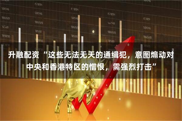 升融配资 “这些无法无天的通缉犯，意图煽动对中央和香港特区的憎恨，需强烈打击”