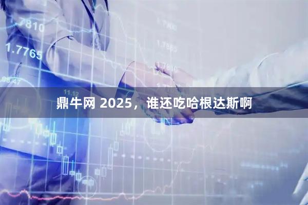 鼎牛网 2025，谁还吃哈根达斯啊