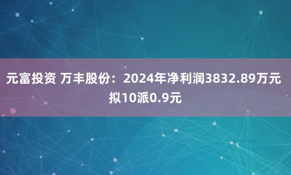 元富投资 万丰股份：2024年净利润3832.89万元 拟10派0.9元